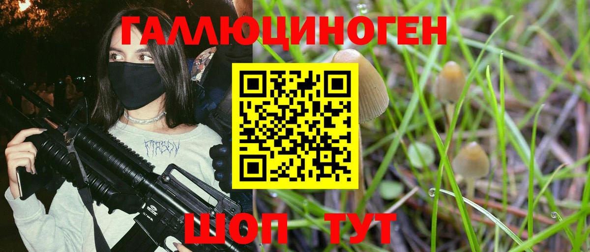Галлюциногенные грибы Cubensis Знаменск